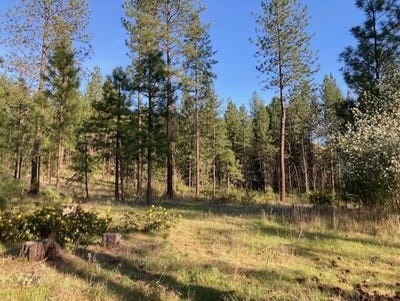 /international/us/1172-fumi-cir-kettle-falls-wa-110107635981/