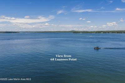 /international/us/luannes-point-lot-36-68-alexander-city-al-110100994273/