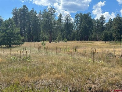 /international/us/300-hills-circle-pagosa-springs-co-110101294450/?lang=zh-cn