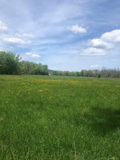 /international/us/65-juliet-drive-warwick-ny-110109338196/