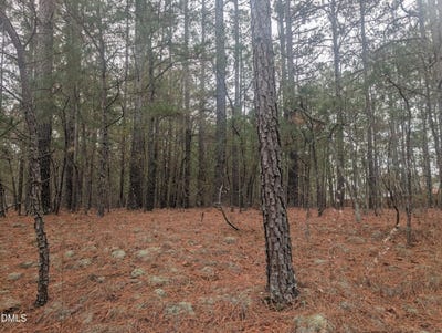 /international/us/13-saw-grass-road-eagle-springs-nc-110103740271/