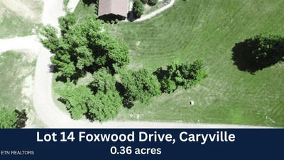 /international/us/foxwood-drive-lot-14-caryville-tn-110098907408/