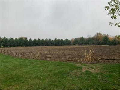 /international/us/tbd-harrison-avenue-ne-racine-mn-110099638667/