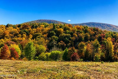 /international/us/488-dewitt-road-glade-valley-nc-110107796865/