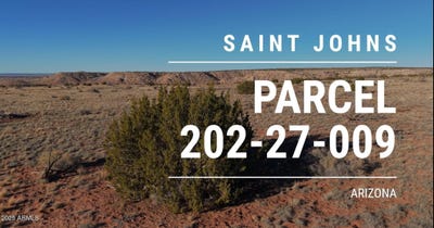 /international/us/150-county-road-n6100-st-johns-az-110104304315/