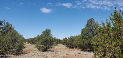 /international/us/17-county-road-8077-concho-az-110101145059/