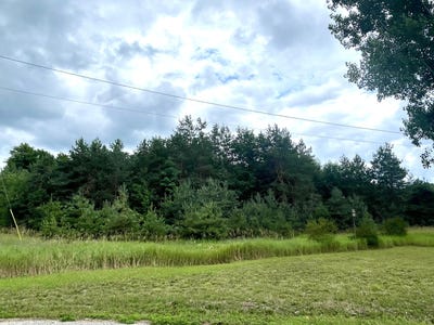 /international/us/1-6-acres-woodward-avenue-elmira-mi-110085852154/?lang=zh-tw