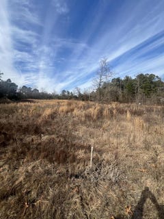/international/us/1650-broad-street-batesburg-leesville-sc-110105632150/