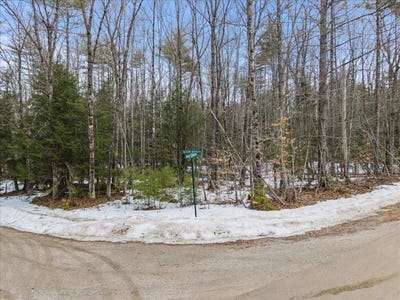 /international/us/stony-brook-drive-lot-23-limerick-me-110107401616/