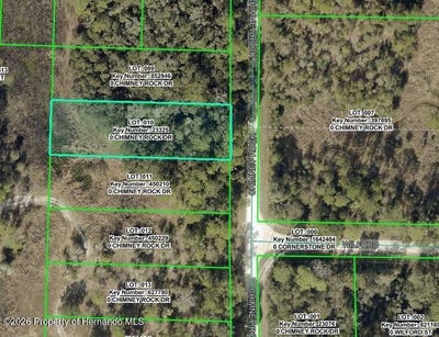 /international/us/9111-chimney-rock-drive-webster-fl-110119967594/
