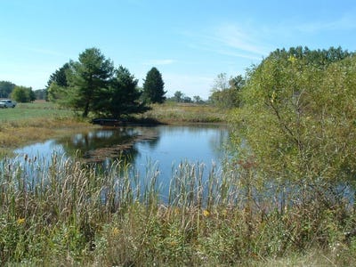 /international/us/nichols-lane-road-nw-johnstown-oh-110102616442/