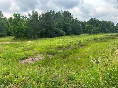 /international/us/hwy-11-ellisville-ms-110106102112/