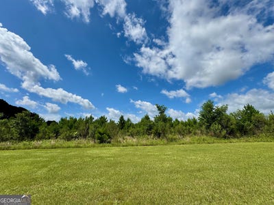 /international/us/0-irwinville-fitzgerald-ga-110100311987/