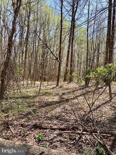 /international/us/19230-chandlee-mill-road-sandy-spring-md-110089279741/