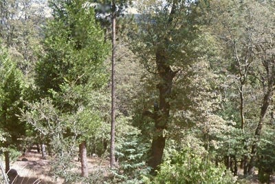 /international/us/40-fir-street-cedarpines-park-ca-110098522019/?lang=zh-tw