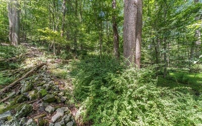 /international/us/sweet-hollow-rd-holland-twp-nj-110104953774/
