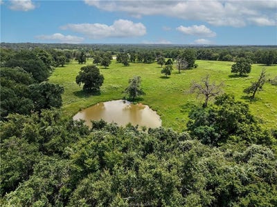 /international/us/tbd-fm-391-hearne-tx-110100974585/