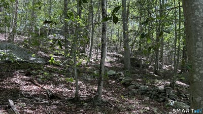 /international/us/norwich-salem-road-east-haddam-ct-110119474924/