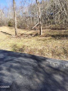 /international/us/ivy-way-newport-tn-110108427055/