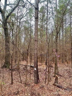 /international/us/1176-great-falls-highway-chester-sc-110103149508/