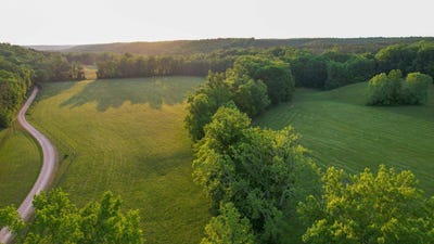 /international/us/1267-wades-branch-road-centerville-tn-110108394539/
