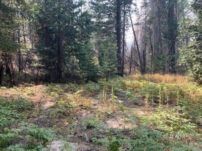 /international/us/east-county-line-rd-lewiston-ca-110097016502/?lang=zh-tw