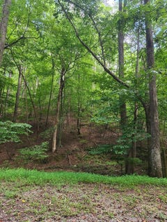 /international/us/lot-133-shiloh-court-ellijay-ga-110101238899/?lang=it