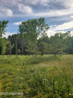 /international/us/l10-toback-road-charleston-ny-110086005478/