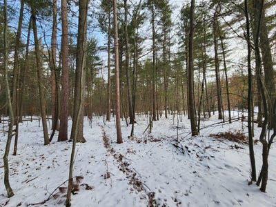 /international/us/0-scenic-point-sawmill-dr-drive-jay-ny-110096682778/