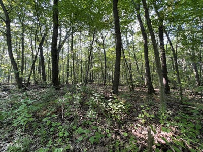 /international/us/117-118-kittanning-overland-pass-run-claysburg-pa-110101008156/?lang=zh-tw