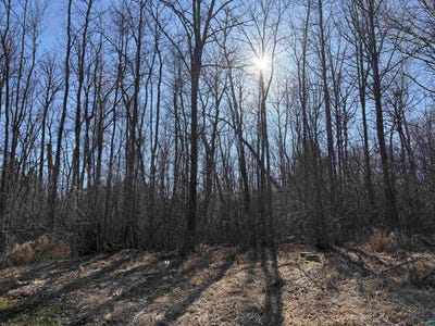 /international/us/grove-ave-moose-lake-mn-110107477725/