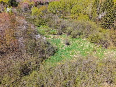 /international/us/on-scovia-avenue-ontonagon-mi-110104219368/