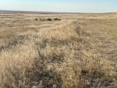 /international/us/parcel-1-or-2-county-road-109-deer-trail-co-110098927533/