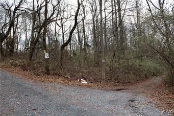 /international/us/5869-applebutter-hill-road-upper-saucon-twp-pa-110103596053/