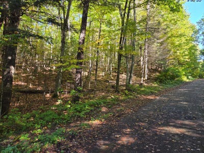 /international/us/on-moonshine-valley-rd-presque-isle-wi-110102627152/