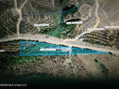 /international/us/nhn-lot-14-bethel-road-lot-14-saucier-ms-110120618930/