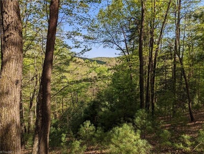 /international/us/sutters-ridge-road-lot-94-mcgrady-nc-110106845308/