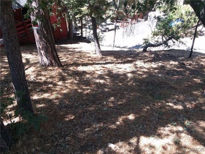 /international/us/32960-lone-pine-drive-big-bear-lake-ca-110100724055/