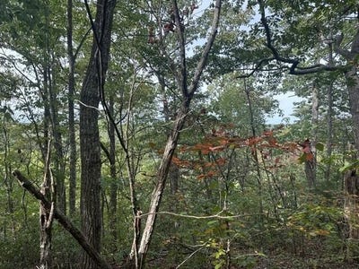 /international/us/mountain-view-lane-lot-155-wilder-tn-110120562900/