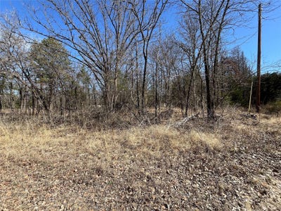 /international/us/county-road-3605-quinlan-tx-110108349411/