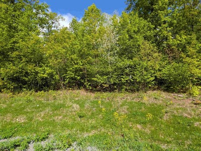 /international/us/lot-8-acorn-ridge-estates-subdivision-mosinee-wi-110099673745/
