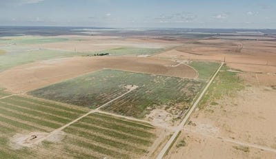 /international/us/smart-farms-levelland-tx-110102258950/