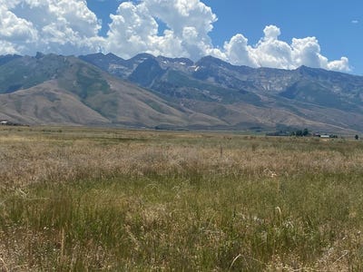 /international/us/80-21-acres-lamoille-nv-110103197870/