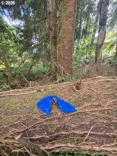 /international/us/2403-2410-birch-st-cannonbeach-or-110107715135/