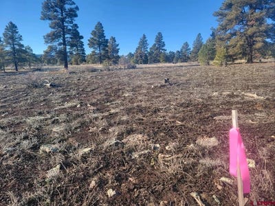 /international/us/660-trails-boulevard-pagosa-springs-co-110110266751/