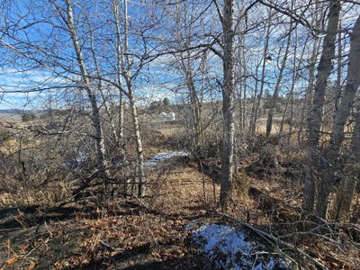 /international/us/198-mullan-trail-road-gold-creek-mt-110107243179/