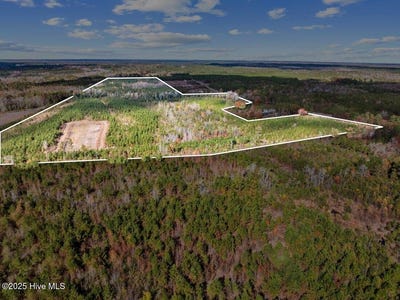 /international/us/7399-burney-road-white-oak-nc-110103982410/