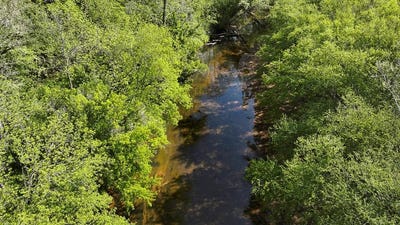 /international/us/uc001-grandmas-hill-road-amherst-va-110108490109/