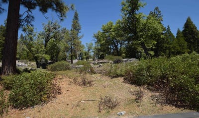 /international/us/42728-garnet-lane-shaver-lake-ca-110105267167/