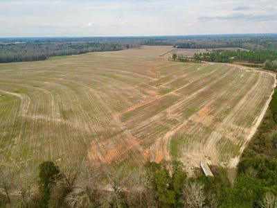 /international/us/3-county-road-3324-brundidge-al-110104928431/